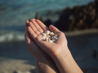 Horizontal close up of sunlit female hands holding beautiful delicate sea shells against the blue water and sand backdrop.
