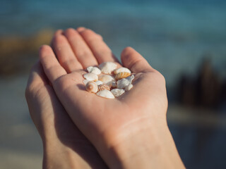 Horizontal close up of sunlit female hands holding beautiful delicate sea shells against the blue water and sand backdrop.