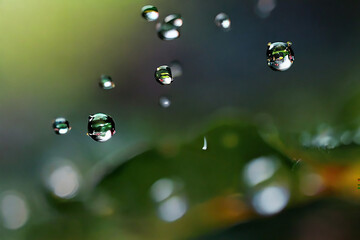 Water drops against a green background are used as scene illustrations and work.