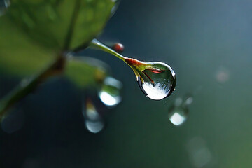 Water drops against a green background are used as scene illustrations and work.