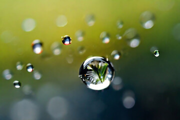 Water drops against a green background are used as scene illustrations and work.