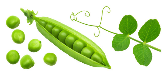 Green peas isolated. Pea pod, leaves and pea seeds on transparent background.