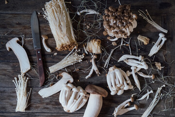 Various edible Asian mushrooms. Set of vegetables. Dark photo natural light. 