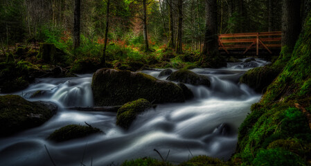 Fototapeta premium waterfall in the woods