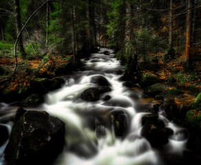 waterfall in the forest