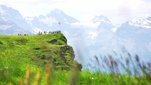 Swiss flag in Swiss Alps, tourists look at Jungfrau mountain on Mannlichen viewpoint, Bernese Oberland in Switzerland.