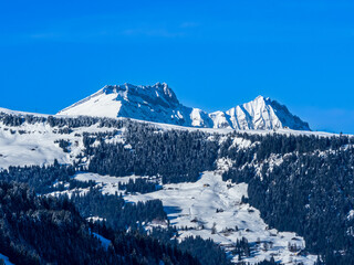 montagne enneigée dans le beaufortain avec alpage et forêt d'épicéas, sur fond de ciel bleu