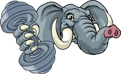 An elephant weight lifting gym animal sports mascot holding a dumbbell in its claw - obrazy, fototapety, plakaty