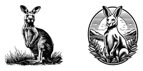 Set of kangaroo, vector illustration.