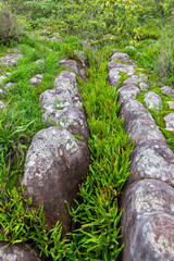 Moss-covered rocks in a serene nature landscape with a stone path, surrounded by trees, grass, and a gentle waterfall in a beautiful park