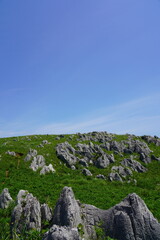 山口県秋吉台　Akiyoshidai