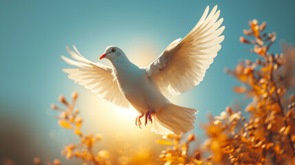 A beautiful white dove hovering in the sky