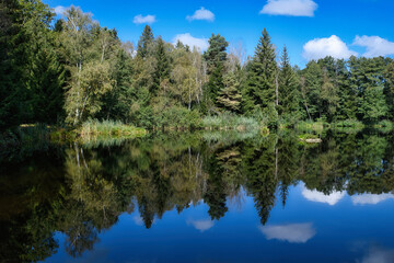 Fototapeta na wymiar Weiher im Wald, Bäume und Sträucher am Ufer. Reflektion im Wasser. Blauer Himmel mit Wolken. Naturschutzgebiet im Moor.