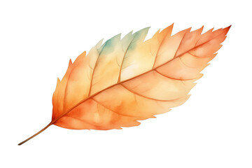 Autumn Dry leaf painted in watercolor with tropical and colorful hues isolated on transparent background. PNG file, cut out	