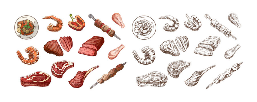 A set of hand-drawn colored and monochrome sketches of different types of meat, steaks, shrimp, chicken, grilled vegetables, barbecue. Vintage illustration. Engraved image.