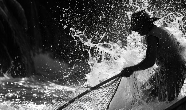 fishermen as they cast their nets into the water. Black and white