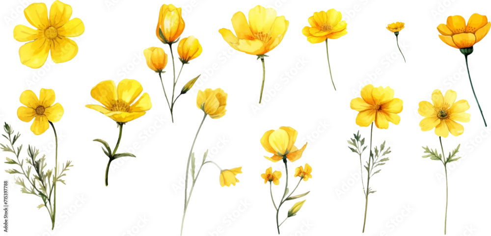 Sticker Set of yellow flowers on white background