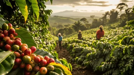 Foto op Canvas Discover the wealth of a coffee farm in Tanzania. Generative Ai. © Planum