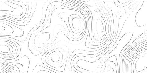 abstract white wave paper curved reliefs background. Topography map pattern, Geographic curved, vector illustration. seamless textrue, vintage waves. Panorama view multicolor wave curve line.