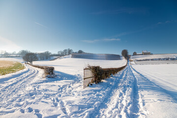 The Vineyards of the Apostelhoeve and the winery in the rolling hill landscape near Maastricht covered with fresh snow, creating an idyllic atmosphere of pure winter with a deep blue sky. 