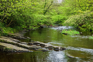 Water Of Leith Rivern In Edinburgh