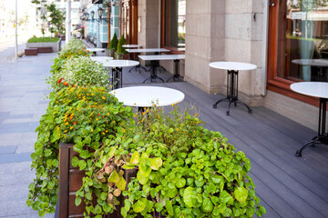 The summer outdoor urban cafe with white tables and plants installed between the tables.