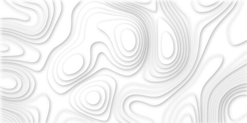 white paper and relief wave and cruve line paper cut background. soft white color seamless pattern, vector illustration, multi layer cutout banner design. topo counter map in 3d view. 