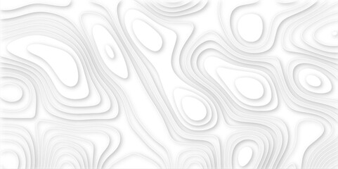 white paper and relief wave and cruve line paper cut background. soft white color seamless pattern, vector illustration, multi layer cutout banner design. topo counter map in 3d view. 