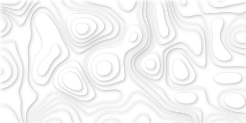 white paper and relief wave and cruve line paper cut background. soft white color seamless pattern, vector illustration, multi layer cutout banner design. topo counter map in 3d view. 