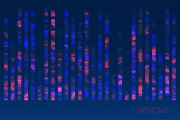 DNA genomic test, genome map.