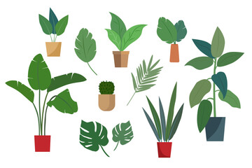 Set of illustrations of flower pots and plants isolated on a white background. Vector illustration.
