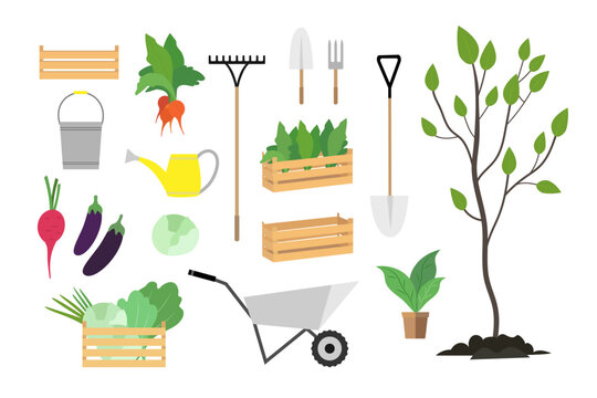 Set of illustrations of garden tools and plants isolated on white background. Wheelbarrow, boxes, watering can, etc. Vector illustration.