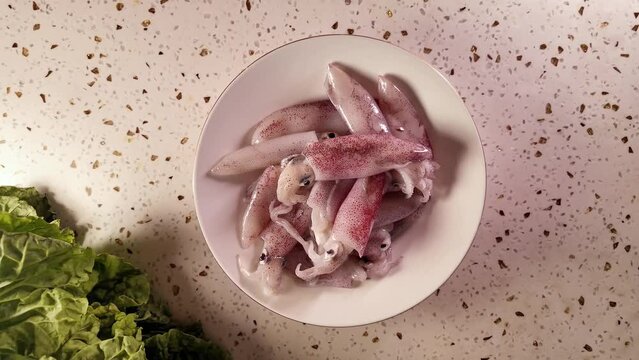 Fresh raw squid served on a white plate, seafood ingredient, kitchen countertop background, top view