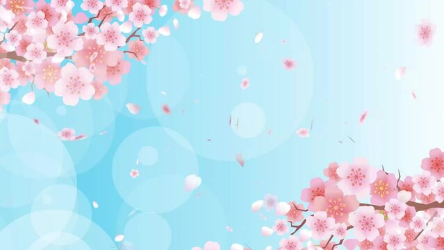 風になびく春の桜の花びら
