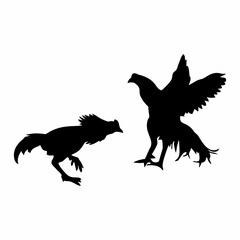 silhouette of black cocks fighting