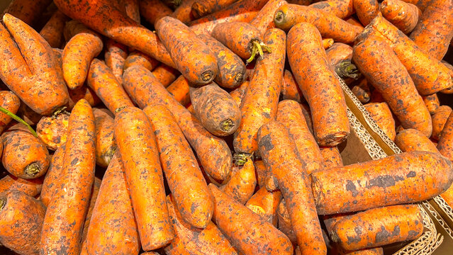 seasonal unwashed carrots on the supermarket counter, background picture, selective focus