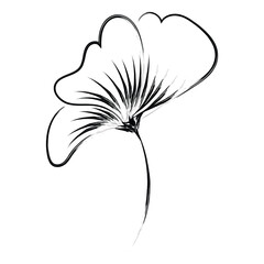 Flower Drawing for print or use as poster, card, flyer or T Shirt