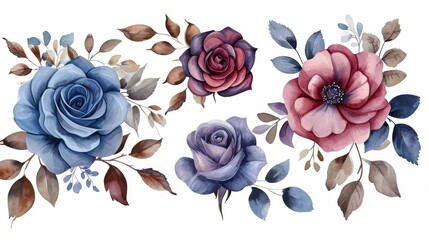 Watercolor Burgundy roses, twigs, leaves. For composition of roses, floral frame with roses on a white background