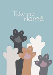 Banner with cat paws of different colors and the inscription take me home. Flyer for animal shelter