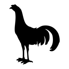 black male and female chicken silhouette