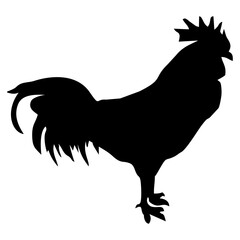 black male and female chicken silhouette