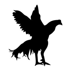 black male and female chicken silhouette