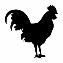 black male and female chicken silhouette