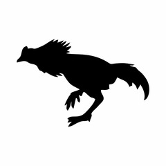 black male and female chicken silhouette