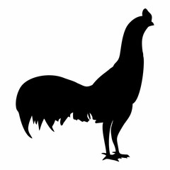 black male and female chicken silhouette