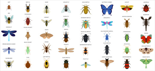Set of insects flat style design icons - obrazy, fototapety, plakaty