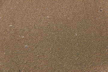Brown sand on the beach 