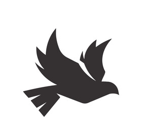Fototapeta premium dove of peace