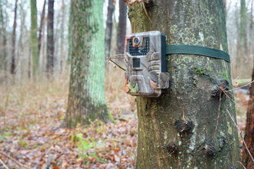 A camera trap hanging on a tree