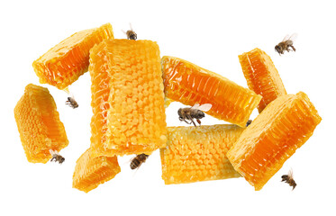 Pieces of honeycomb in air and bees flying on white background